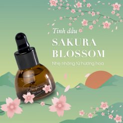 Tinh dầu Sakura Blossom