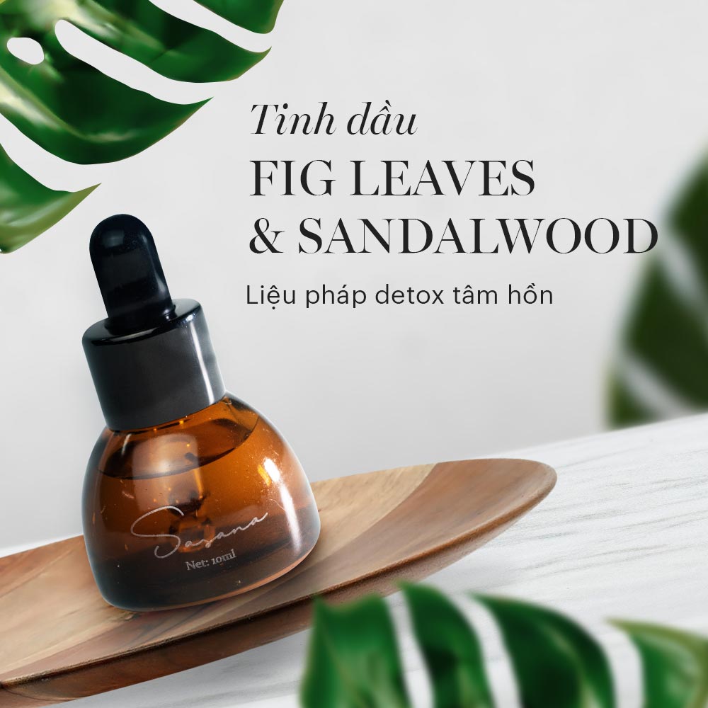 Tinh dầu Fig Leaves & Sandalwood
