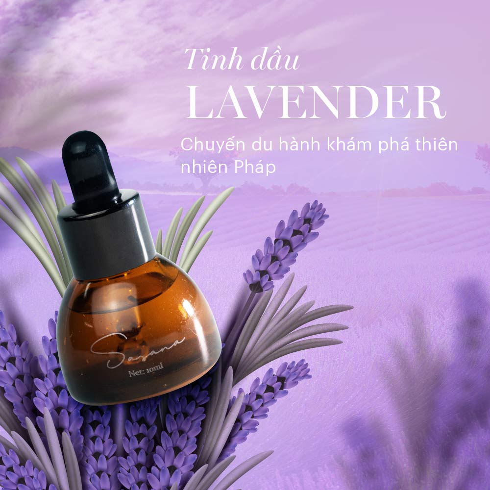 Tinh dầu chống lão hóa Lavender