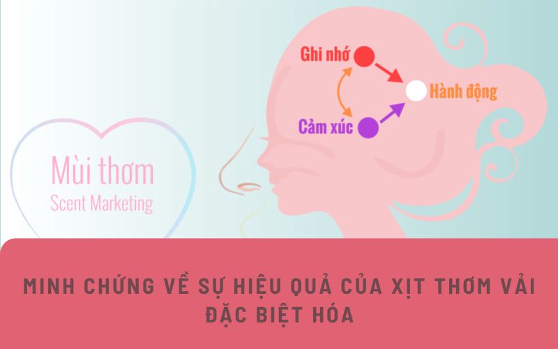 MINH CHỨNG VỀ SỰ HIỆU QUẢ CỦA XỊT THƠM VẢI ĐẶC BIỆT HÓA