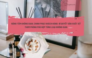 NÂNG TẦM KHÔNG GIAN, CHINH PHỤC KHÁCH HÀNG_ BÍ QUYẾT SẢN XUẤT XỊT THƠM PHÒNG PHÙ HỢP TỪNG LOẠI KHÔNG GIAN