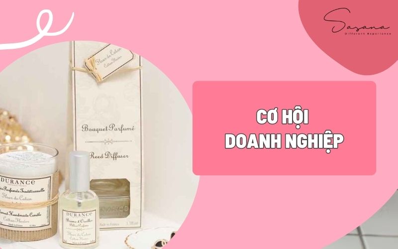 SẢN XUẤT NẾN THƠM RIÊNG BIỆT - CƠ HỘI DOANH NGHIỆP