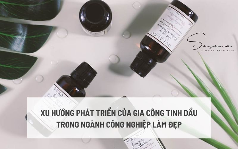 XU HƯỚNG PHÁT TRIỂN CỦA GIA CÔNG TINH DẦU TRONG NGÀNH CÔNG NGHIỆP LÀM ĐẸP