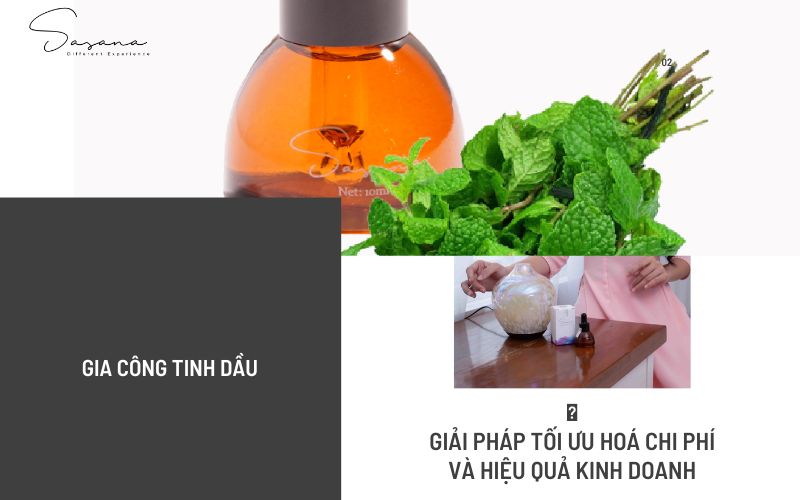 GIA CÔNG TINH DẦU_ GIẢI PHÁP TỐI ƯU HOÁ CHI PHÍ VÀ HIỆU QUẢ KINH DOANH