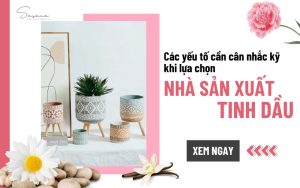 Lựa-chọn-nhà-sản-xuất-tinh-dầu