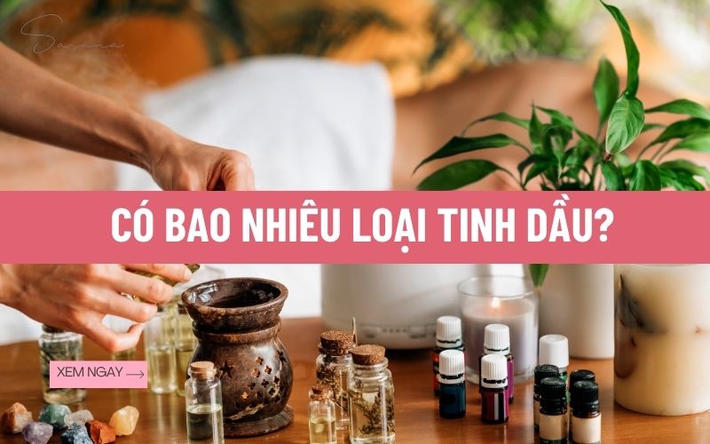 co-bao-nhieu-loai-tinh-dau