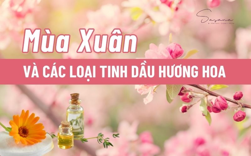 cac-loai-tinh-dau-mua-xuan