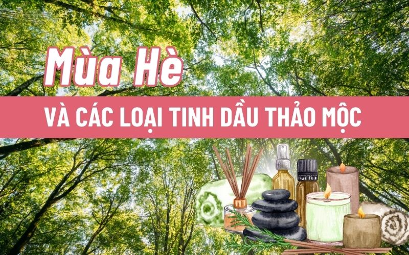 cac-loai-tinh-dau-mua-he
