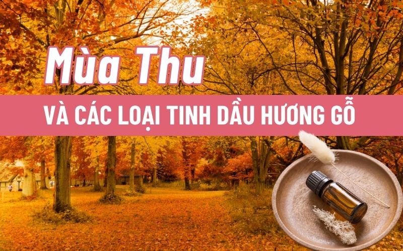 cac-loai-tinh-dau-mua-thu