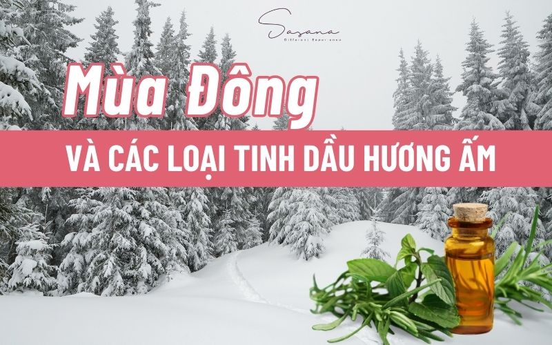 cac-loai-tinh-dau-mua-dong