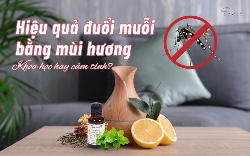hieu-qua-duoi-muoi-bang-mui-huong
