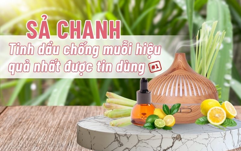 Sa-chanh-tinh-dau-duoi-muoi-hieu-qua-nhat