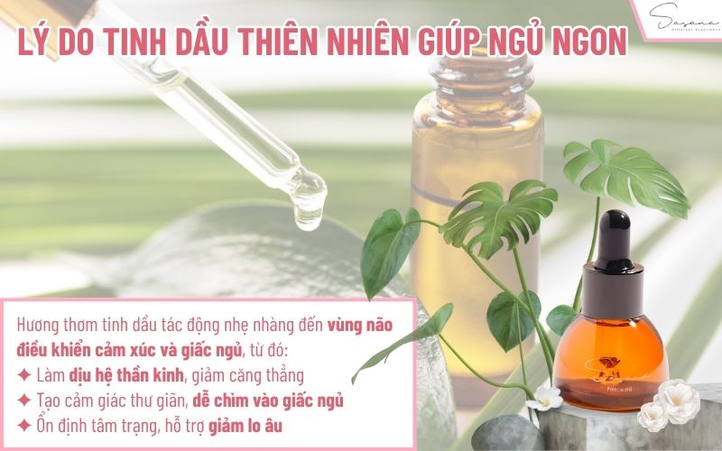 ly-do-tinh-dau- giup-ngu-ngon