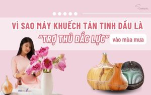 vi-sao-may-khuech-tan-tinh-dau-la-tro-thu-dac-luc-vao-mua-mua