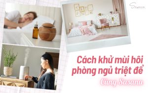 cach-khu-mui-hoi-phong-ngu-triet-de