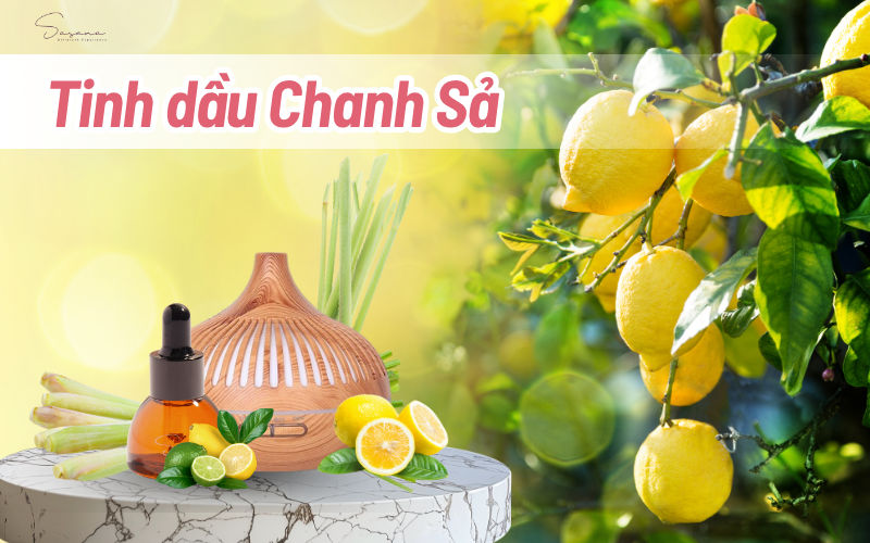 tinh-dau-chanh-sa