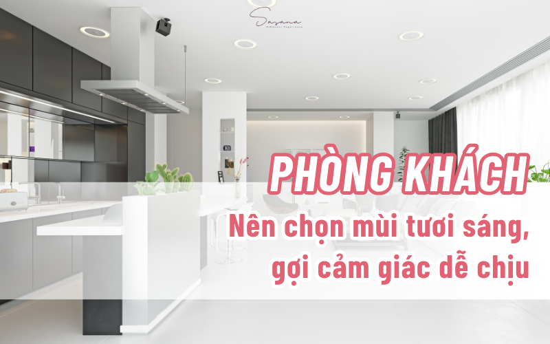 dung-tinh-dau-cho-phong-khach