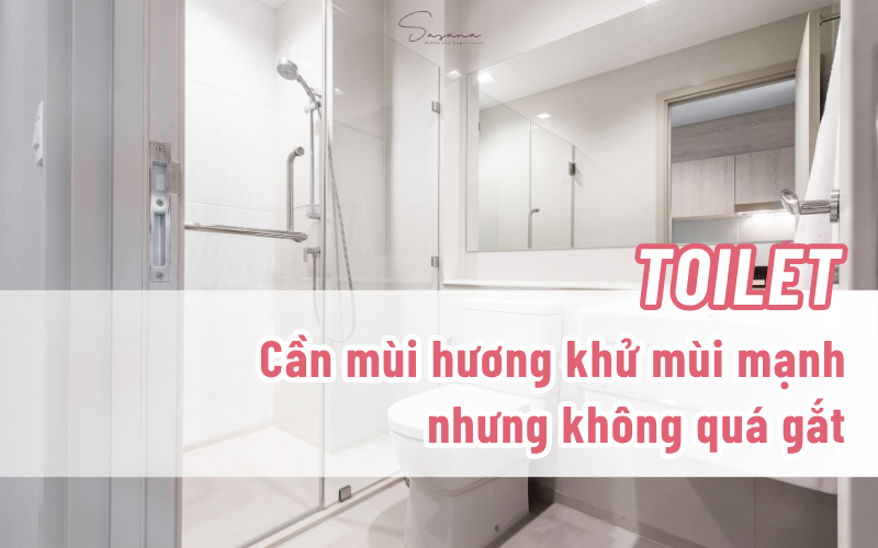 chon-tinh-dau-cho-toilet