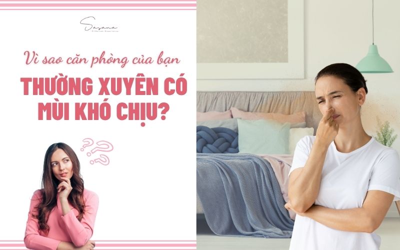 vi-sao-can-phong-cua-ban-thuong-xuyen-co-mui-kho-chiu