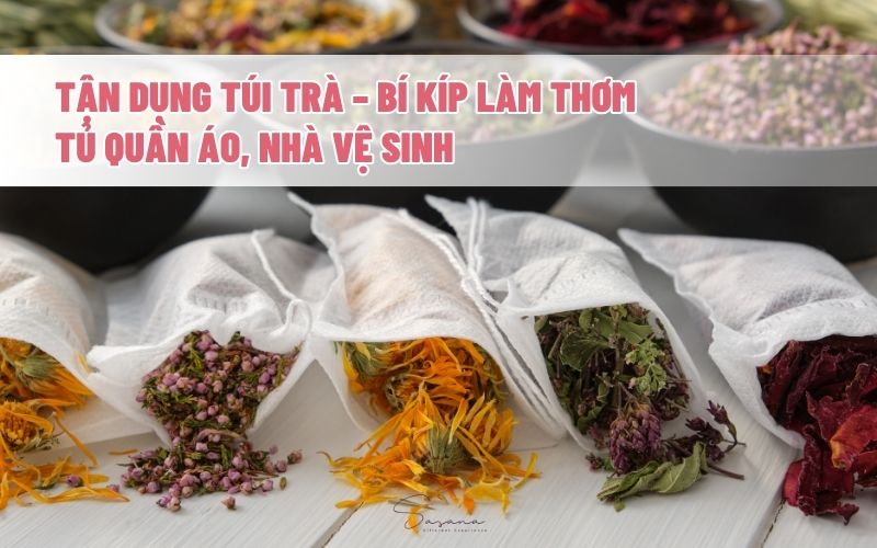 tan-dung-tui-tra-khu-mui