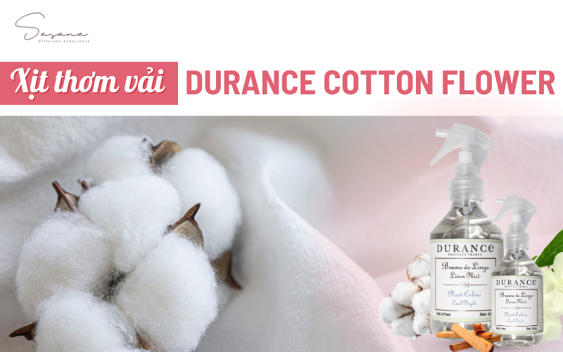 durance-cotton-flower
