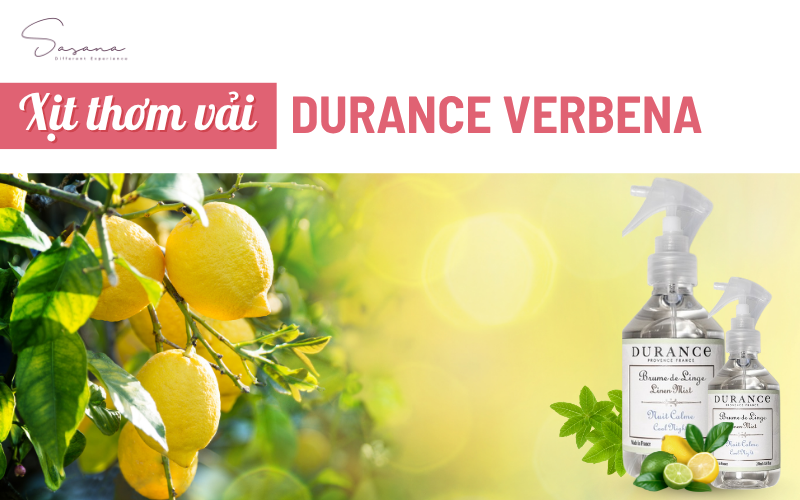 durance-verbena