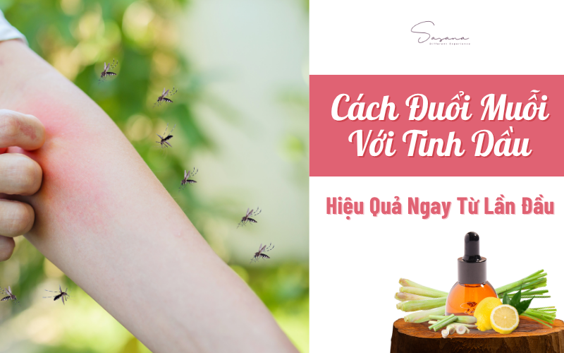 cach-duoi-muoi-voi-tinh-dau-hieu-qua-ngay-tu-lan-dau