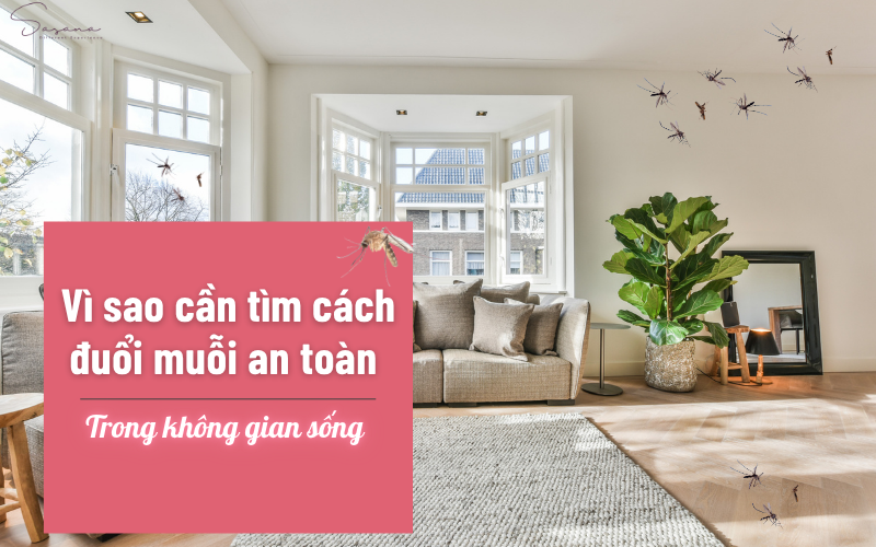 vi-sao-can-tim-cach-chong-con-trung-an-toan-trong-khong-gian-song