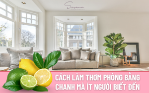 cach-lam-thom-phong-bang-chanh-ma-it-nguoi-biet-den