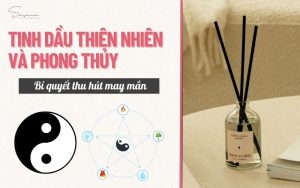 tinh-dau-thien-nhien-va-phong-thuy-bi-quyet-thu-hut-may-man