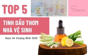 top5-tinh-dau-thom-nha-ve-sinh-duoc-yeu-thich-nhat-2025