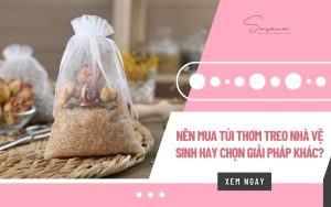 nen-mua-tui-thom-treo-nha-ve-sinh-hay-chon-giai-phap-khac