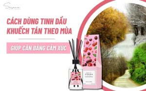 cach-dung-tinh-dau-khuech-tan-theo-mua-giup-can-bang-cam-xuc