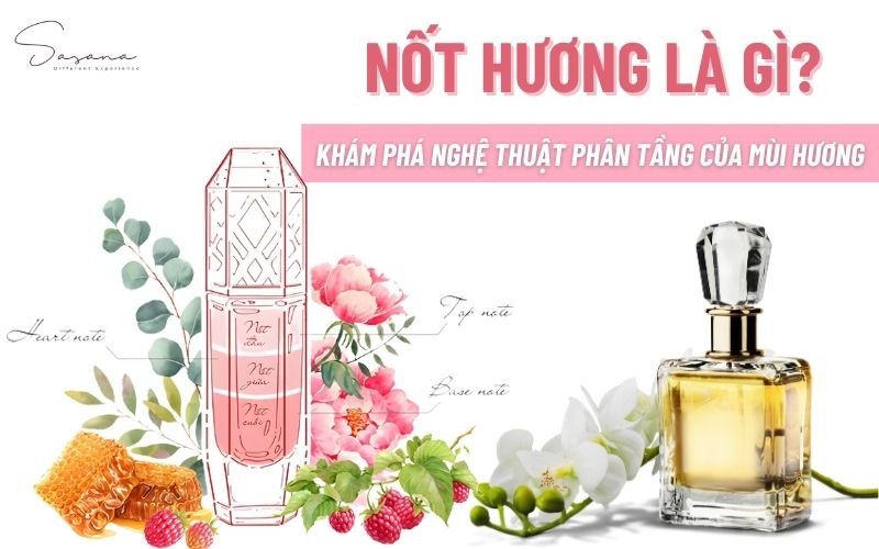 not-huong-la-gi-kham-pha-nghe-thuat-phan-tang-mui-huong