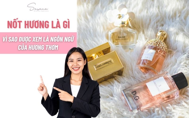 not-huong-la-gi-vi-sao-duoc-xem-la-ngon-ngu-cua-huong-thom