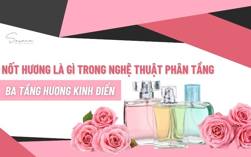 not-huong-la-gi-trong-nghe-thuat-phan-tang