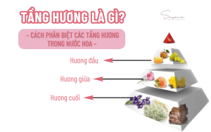 tang-huong-la-gi