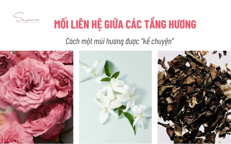 moi-lien-he-giua-cac-mui-huong