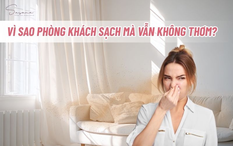 vi-sao-phong-sach-ma-van-khong-thom