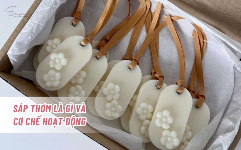 sap-thom-la-gi-va-co-che-hoat-dong
