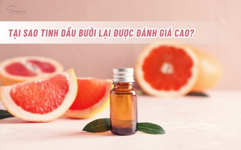 vi-sao-tinh-dau-buoi-lai-duoc-danh-gia-cao