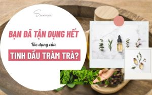 ban-da-tan-dung-het-tac-dung-cua-tinh-dau-tram-tra-chua?