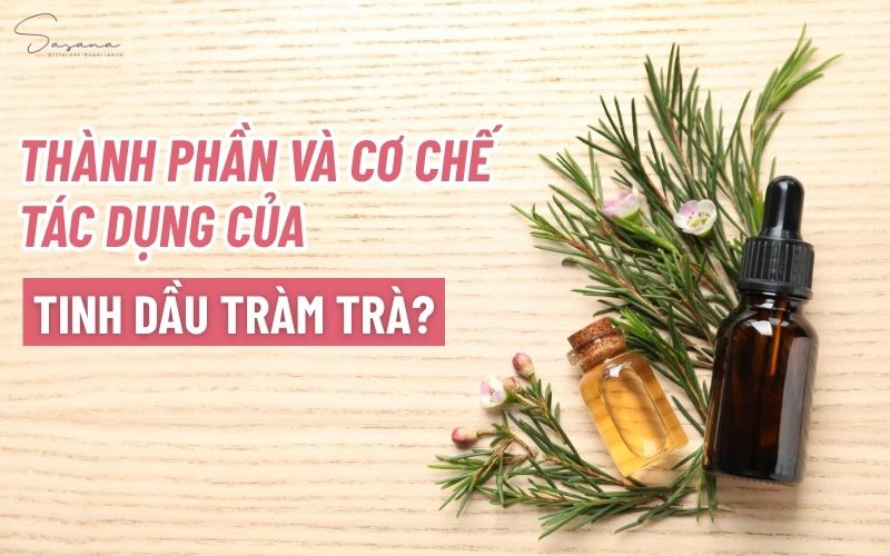 thanh-phan-va-co-che-tac-dung-cua-tinh-dau-tram-tra