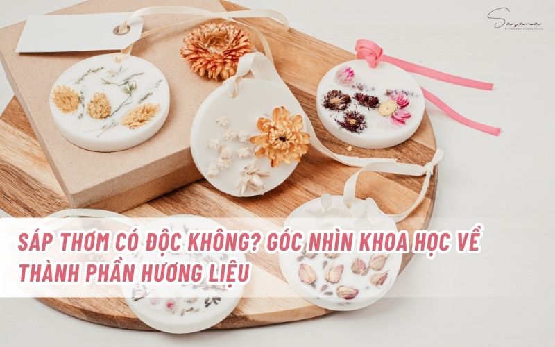 sap-thom-co-doc-khong-goc-nhin-khoa-hoc-dua-tren-goc-nhin-thuc-te