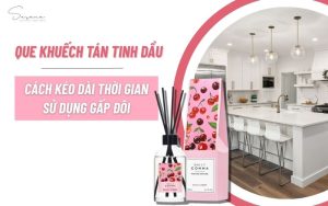 que-khuech-tan-tinh-dau-va-cach-keo-dai-thoi-gian-su-dung-gap-doi